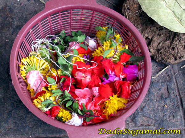 Flowers For Kirya Karam